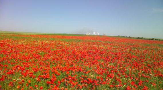 Villa Les Coquelicots En Baie De Somme Saint-Blimont Exterior foto